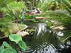 Allen Landscapes Water Features