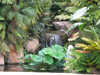 Allen Landscapes Water Features