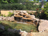 Allen Landscapes Water Features